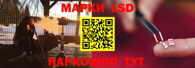 крисы Будённовск