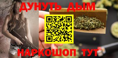 крисы Будённовск