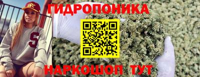 прущие грибы Бузулук